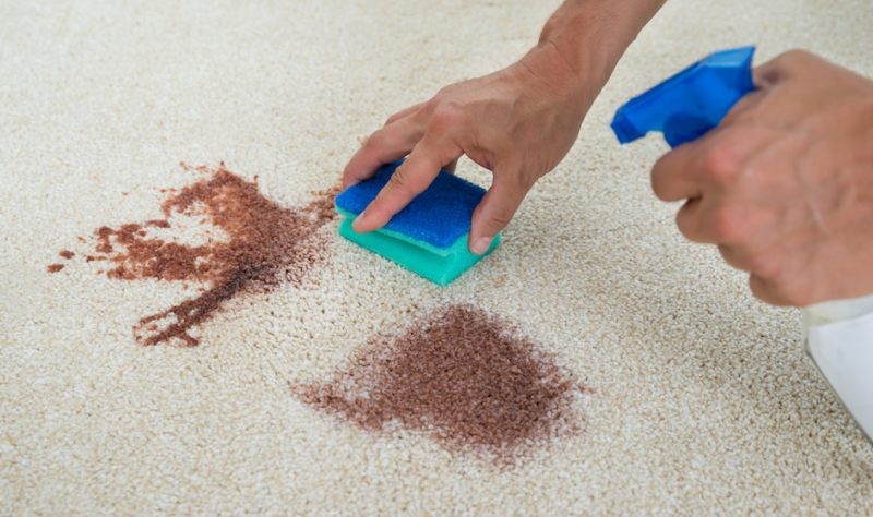 cropped image of a young man treating an stain on the carpet