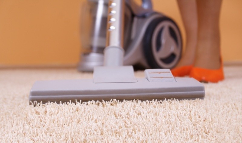 cropped image of a woman dusting a carpet
