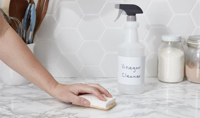 cropped picture of a woman wiping a surface with vinegar