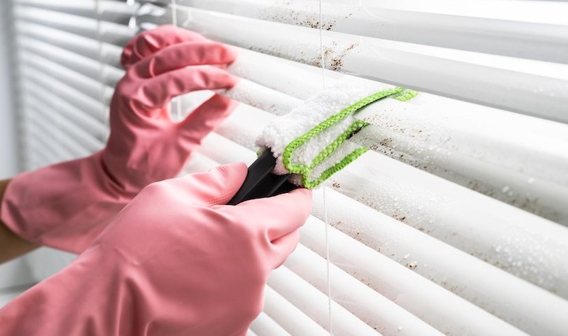 Cropped picture of a person wiping the blinds