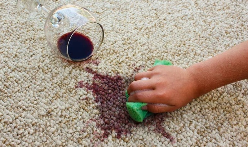 cropped picture of a person sprucing up carpet stains