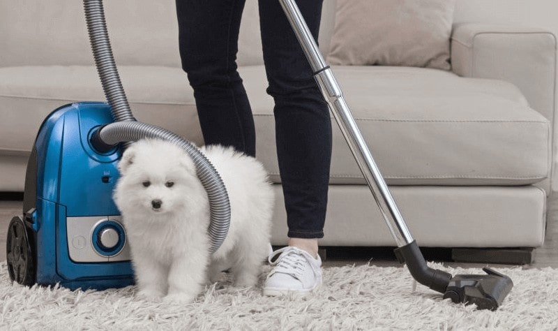 cropped picture of a woman holding a vacuum cleaner vacuuming a carpet