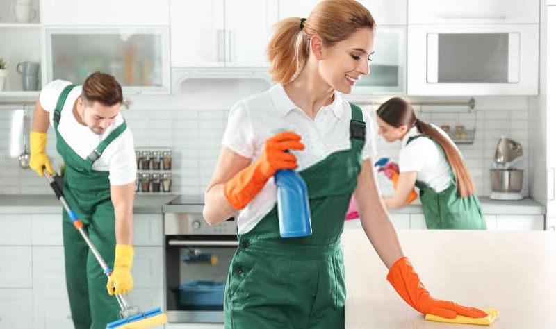 entire team of professionals sprucing up a residential property