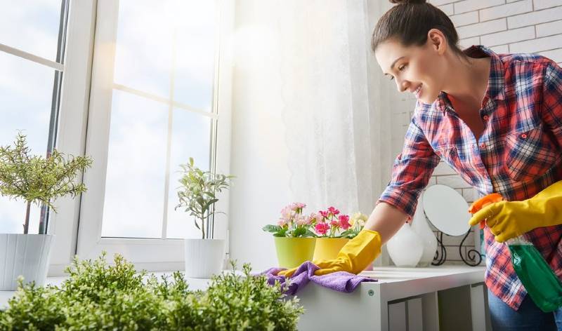 Women cleaning with eco-friendly cleaning spray