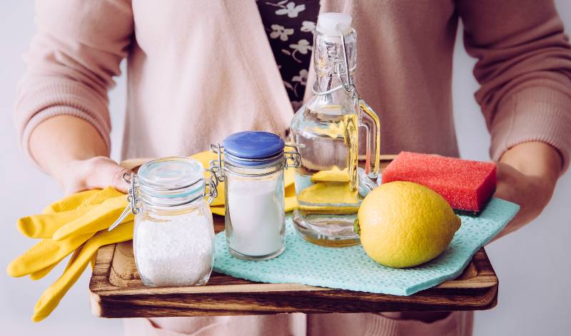 Woman with Ingredients in a tray
