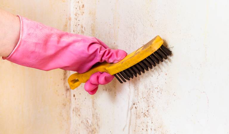 Hand in pink gloves holding a brush and scrubbing wall