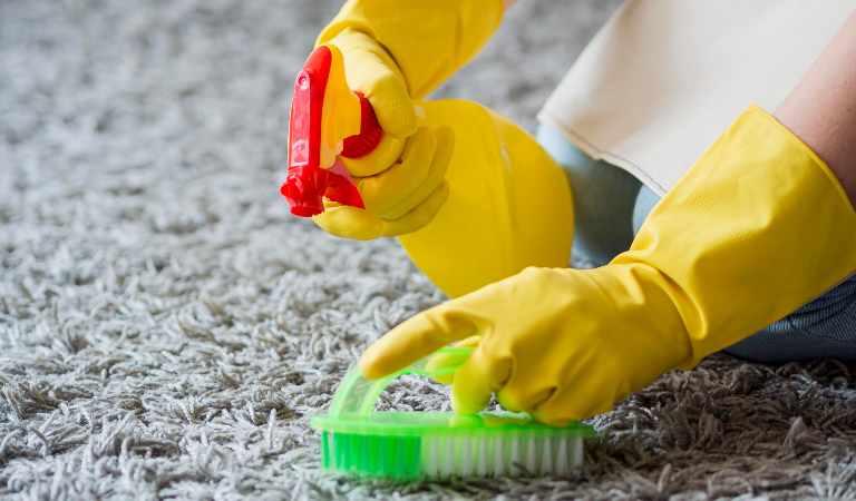 Woman in yellow gloves holding a yellow bottle and cleaning carpet with a green brush.