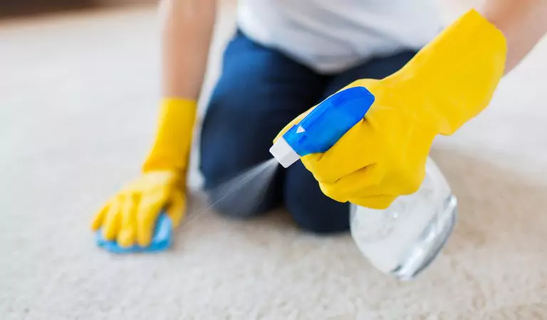 cropped picture of a woman cleaning a carpet