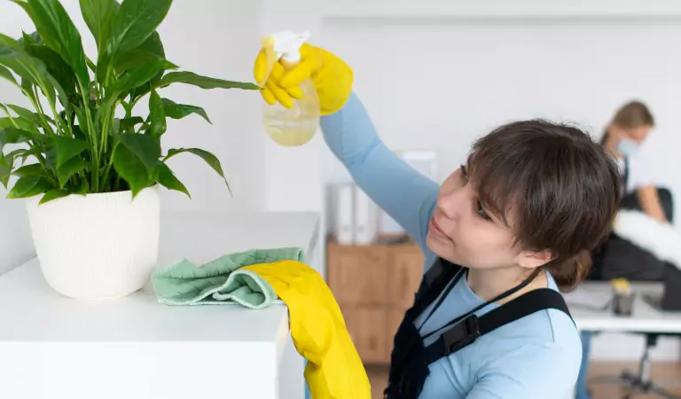 young woman sprucing up her house