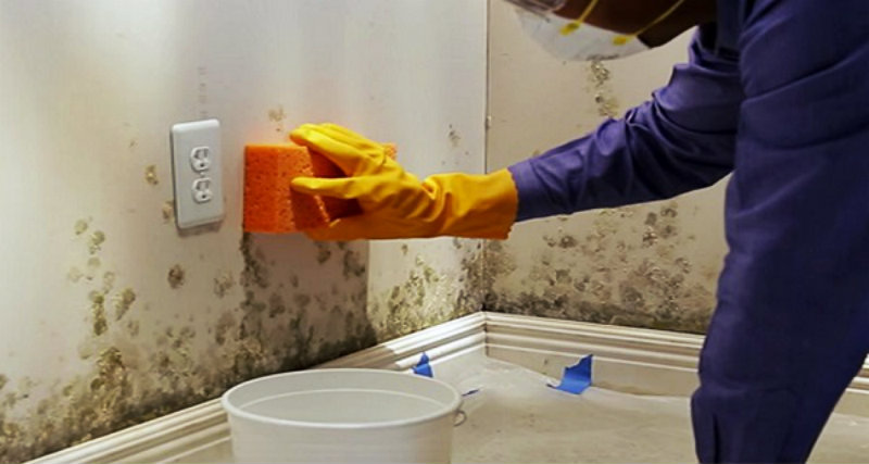 a man in blue uniform, wearing a face mask scrubbing mould on walls