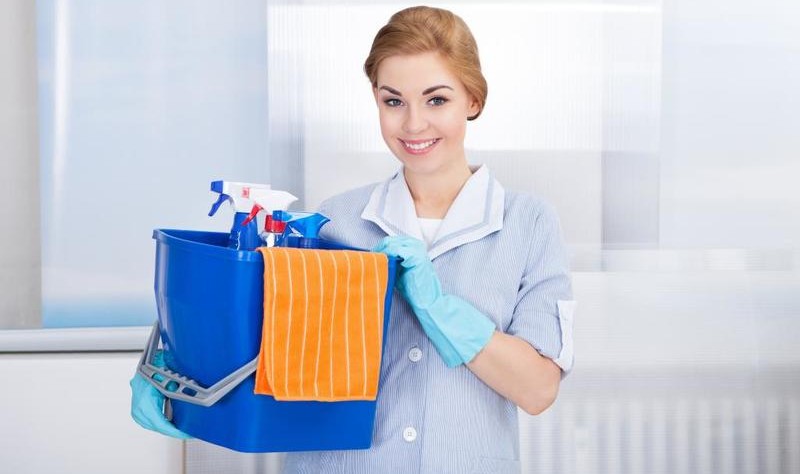 a woman with a bucket full of spray bottles and cloth rags