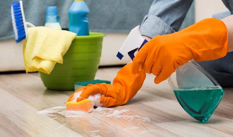 Woman in orange gloves with spray in hand