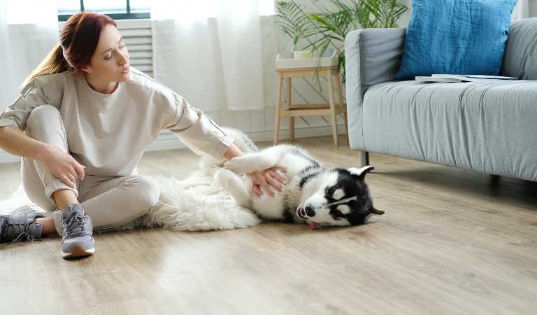 Woman playing with her pet dog inside her living room.