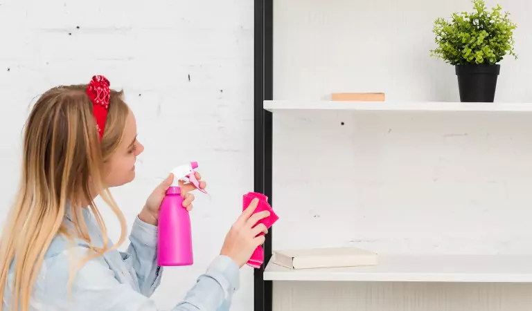 woman cleaning a household surface