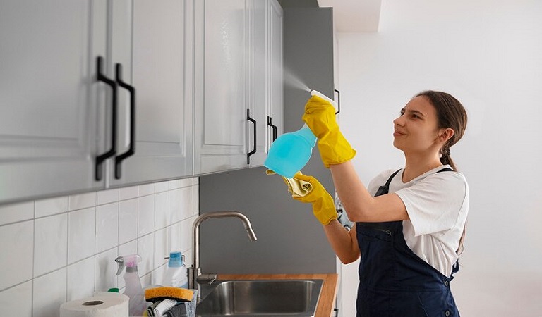 a woman cleaning home with spray and microfiber cloth