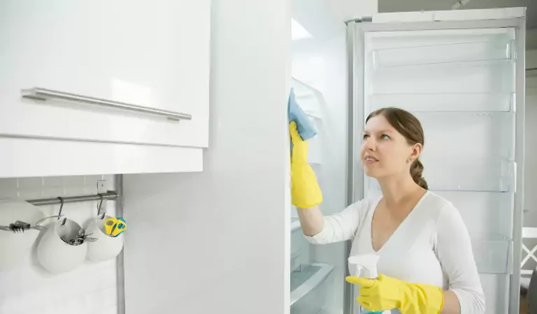 Clean A Refrigerator Without Using Harsh Chemicals at Home